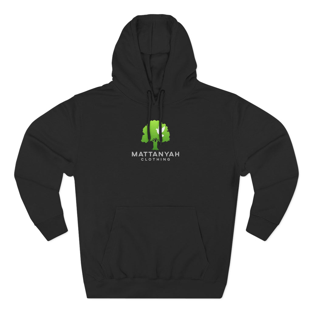 Mattanyah Hoodie with a kind message