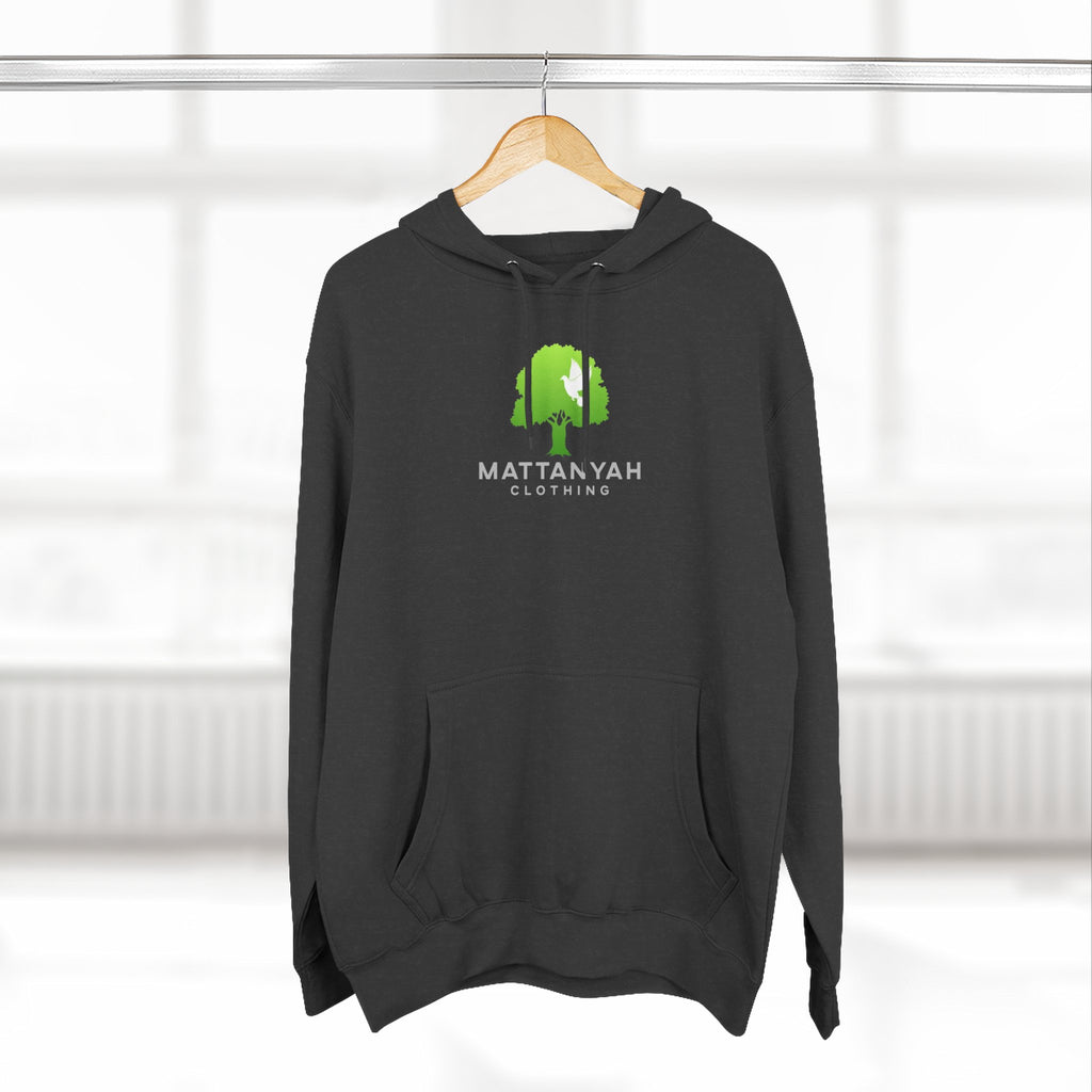 Mattanyah Hoodie with a kind message