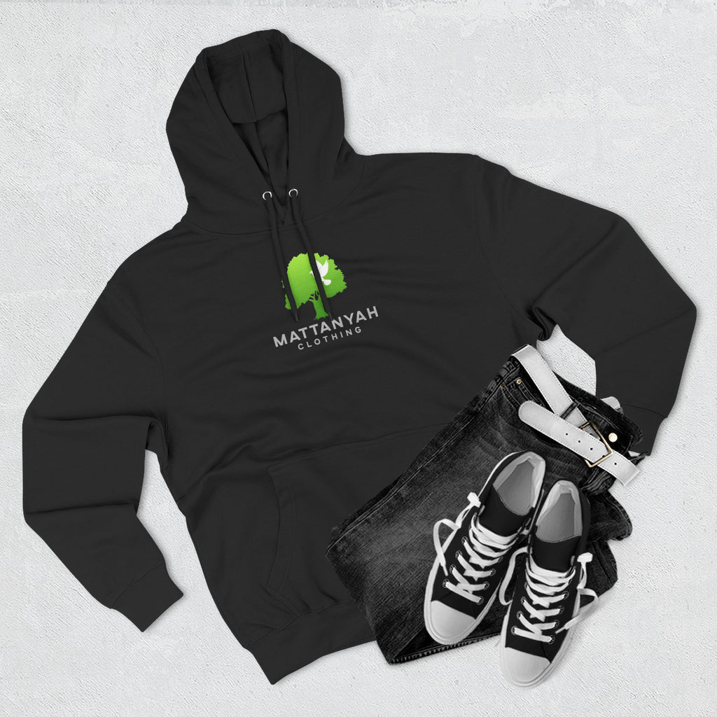 Mattanyah Hoodie with a kind message