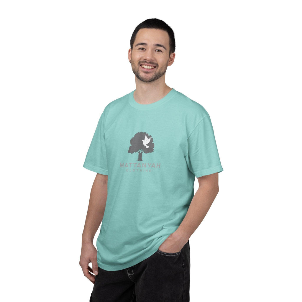 Mattanyah standard T-shirt in multiple colours