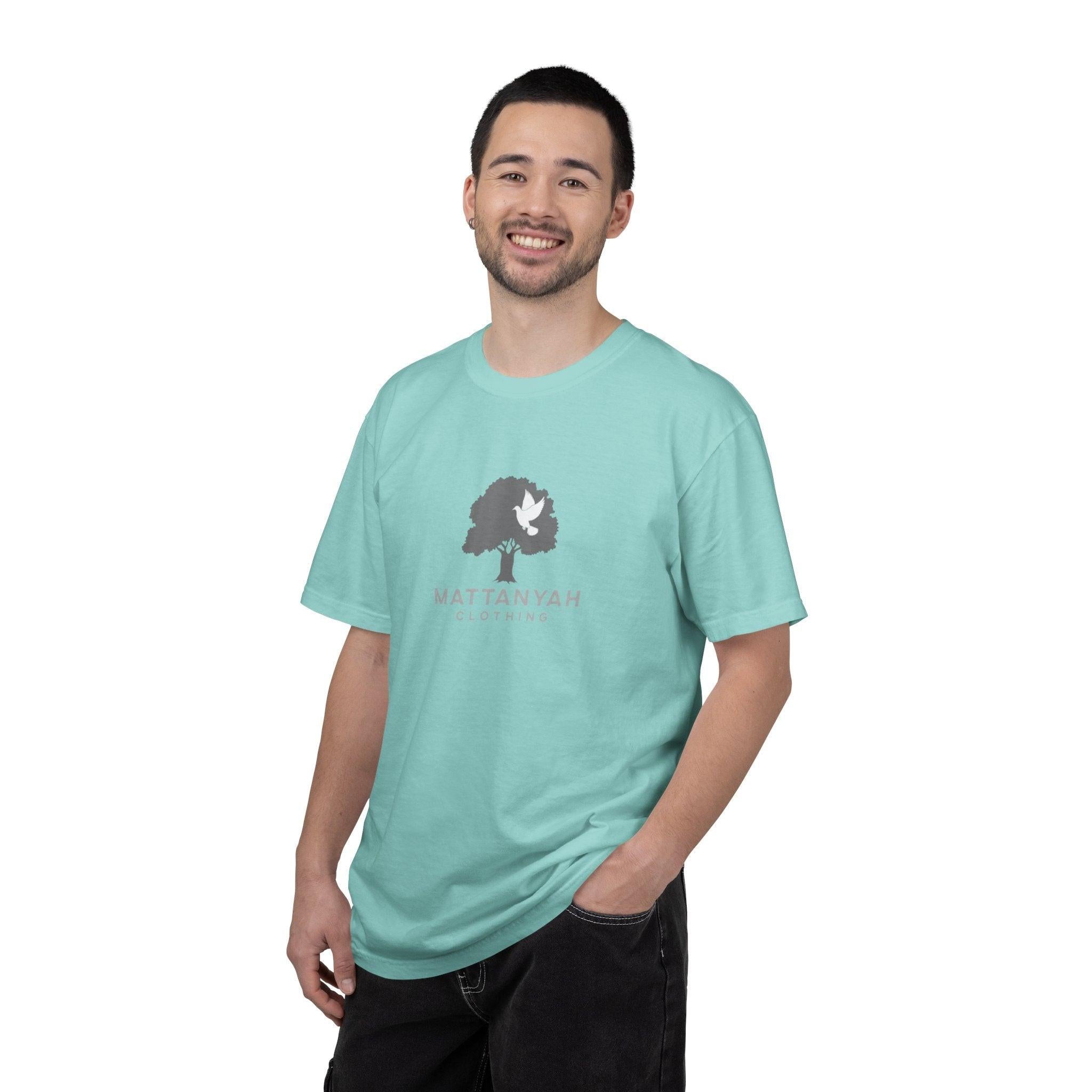 Mattanyah standard T-shirt in multiple colours