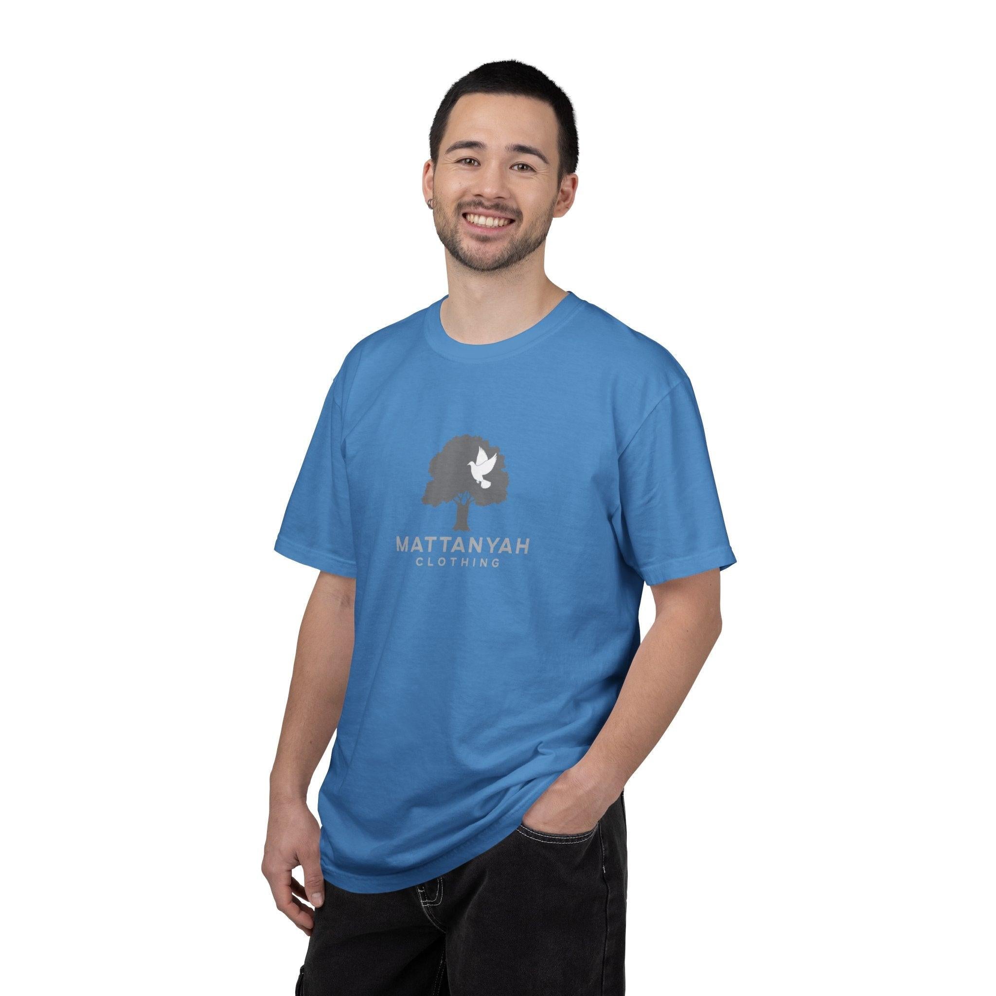 Mattanyah standard T-shirt in multiple colours