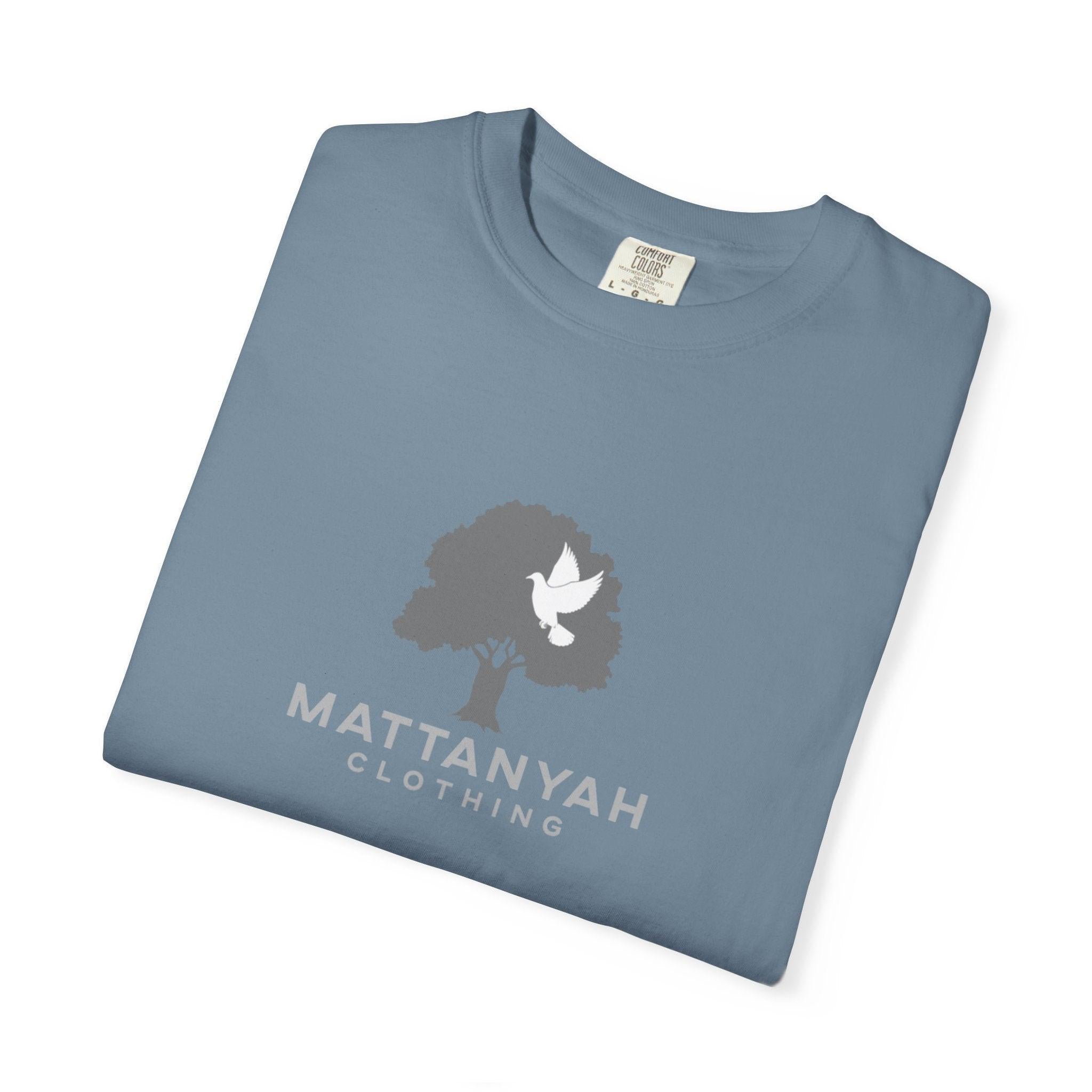 Mattanyah standard T-shirt in multiple colours