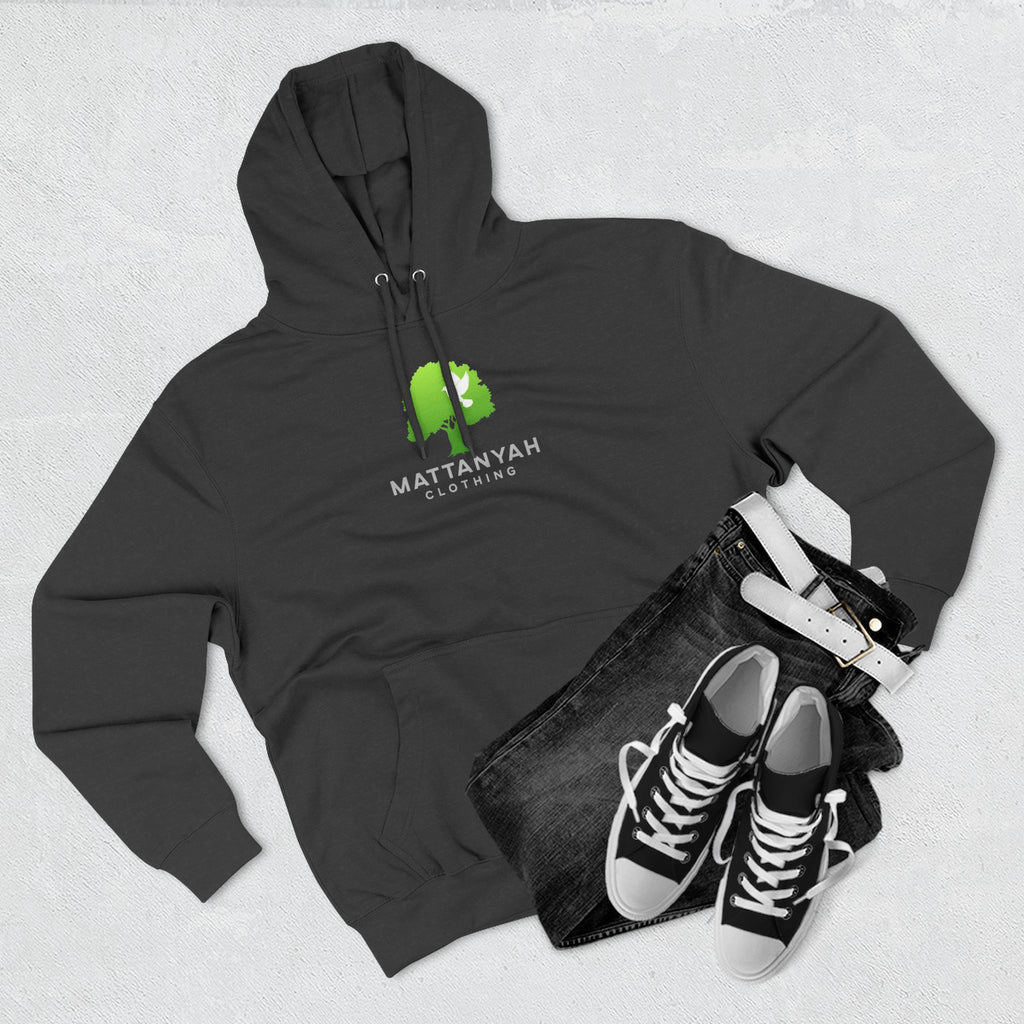 Mattanyah Hoodie with a kind message