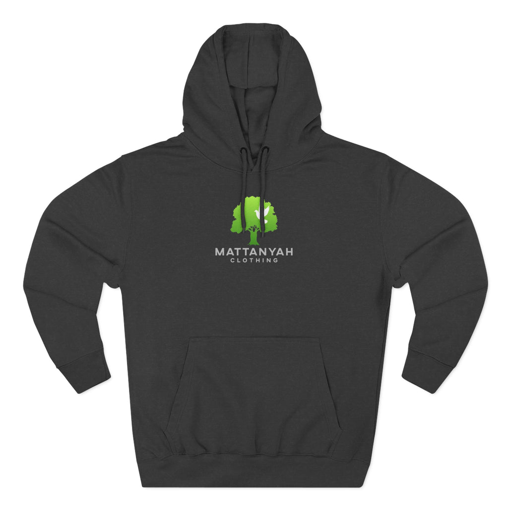 Mattanyah Hoodie with a kind message