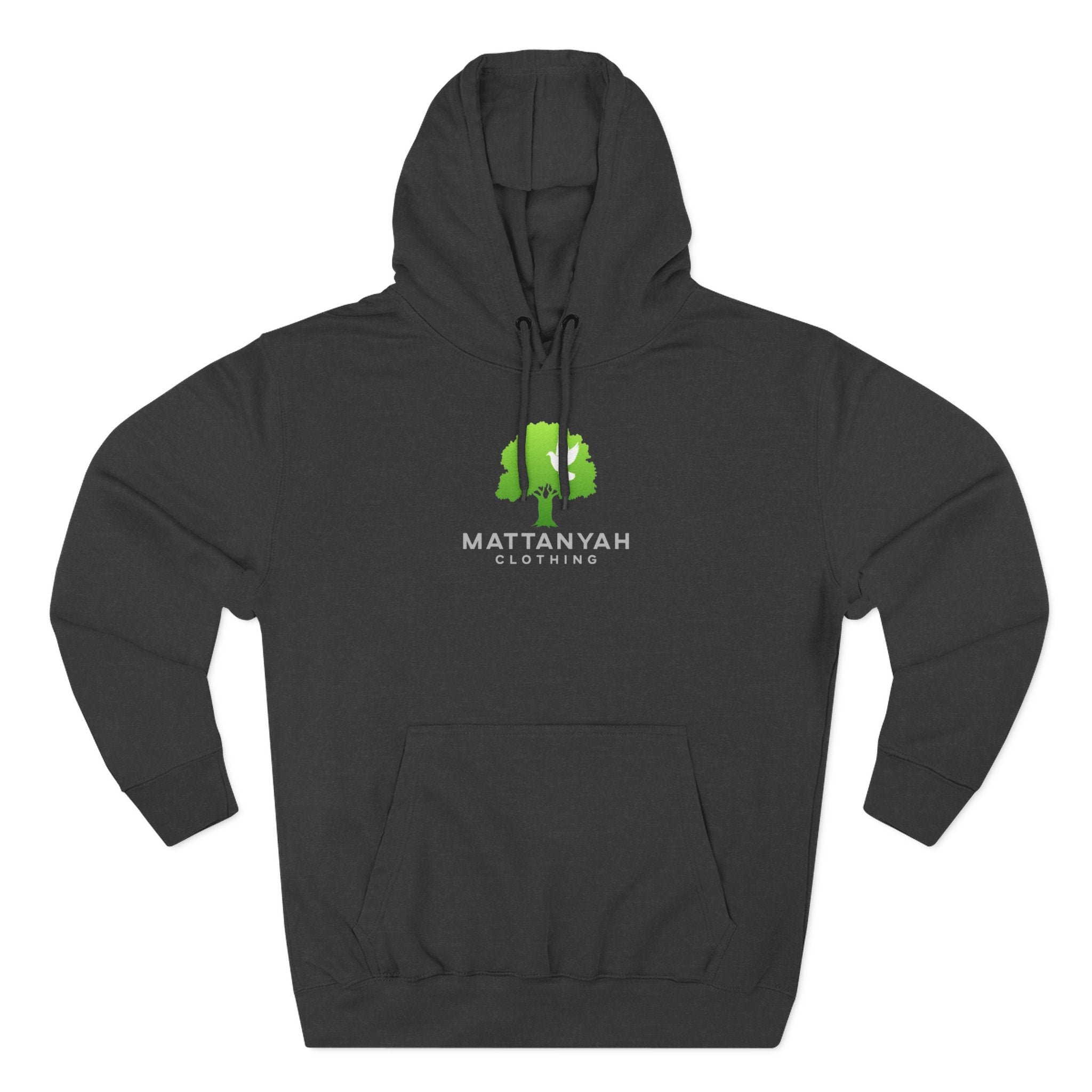 Mattanyah Hoodie with a kind message