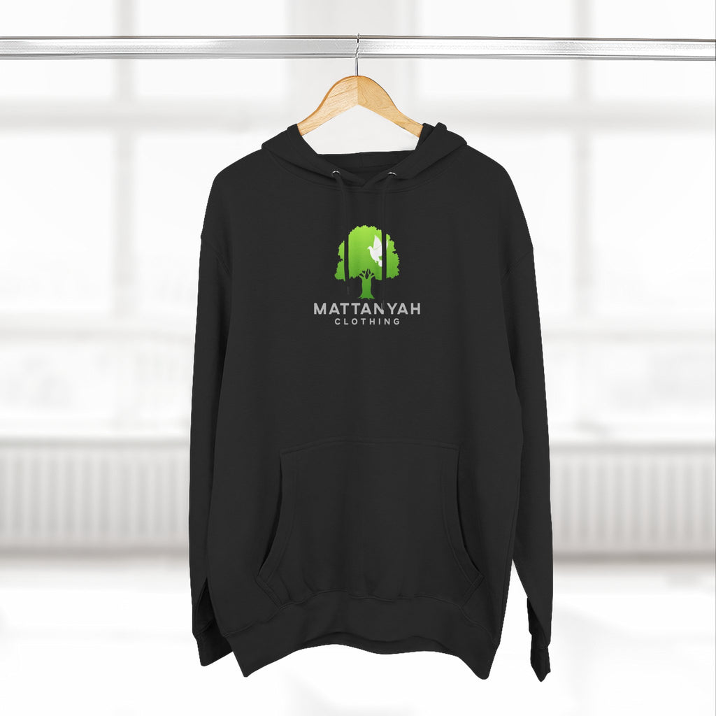Mattanyah Hoodie with a kind message