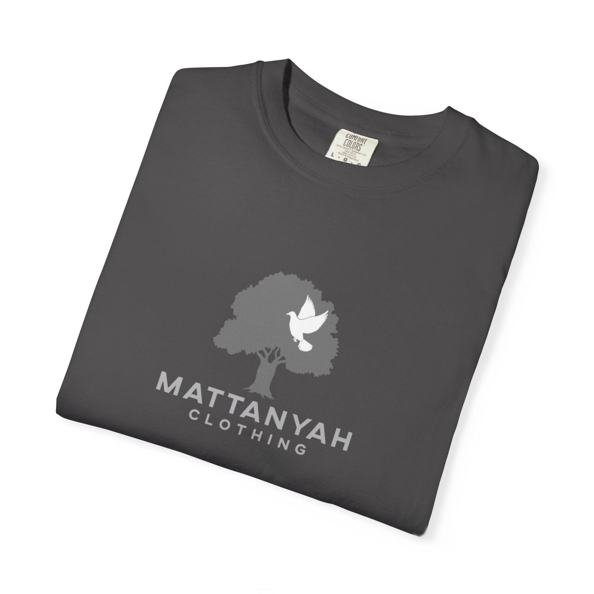 Mattanyah standard T-shirt in multiple colours